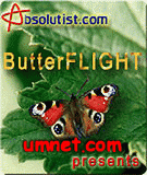 game pic for Butter Flight